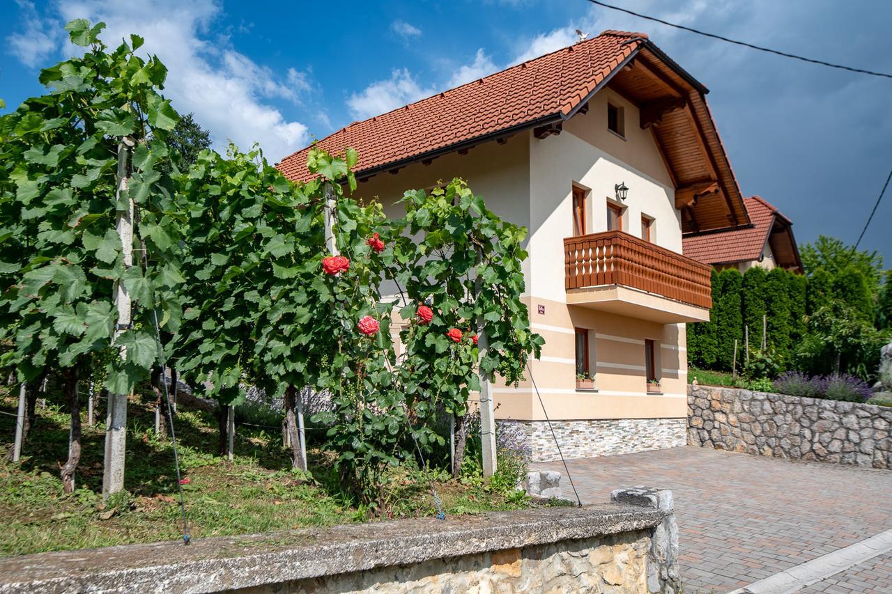 Vineyard Cottage Pod Piramido Dobrnic Экстерьер фото