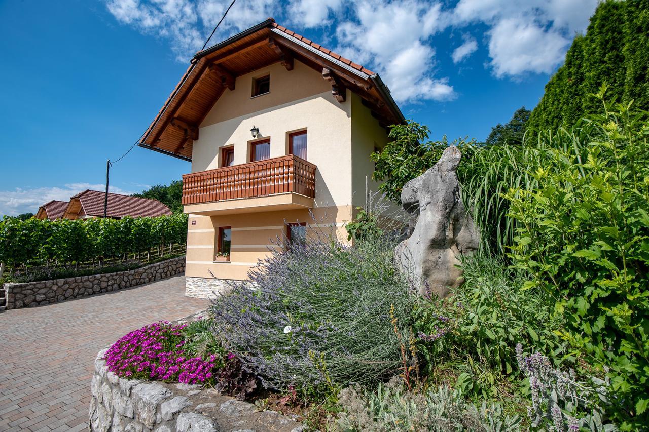 Vineyard Cottage Pod Piramido Dobrnic Экстерьер фото