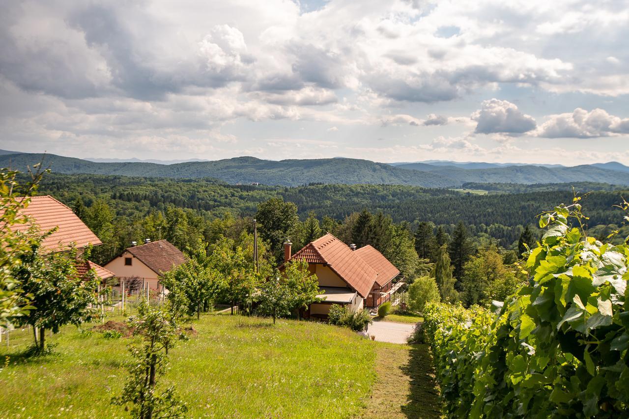 Vineyard Cottage Pod Piramido Dobrnic Экстерьер фото