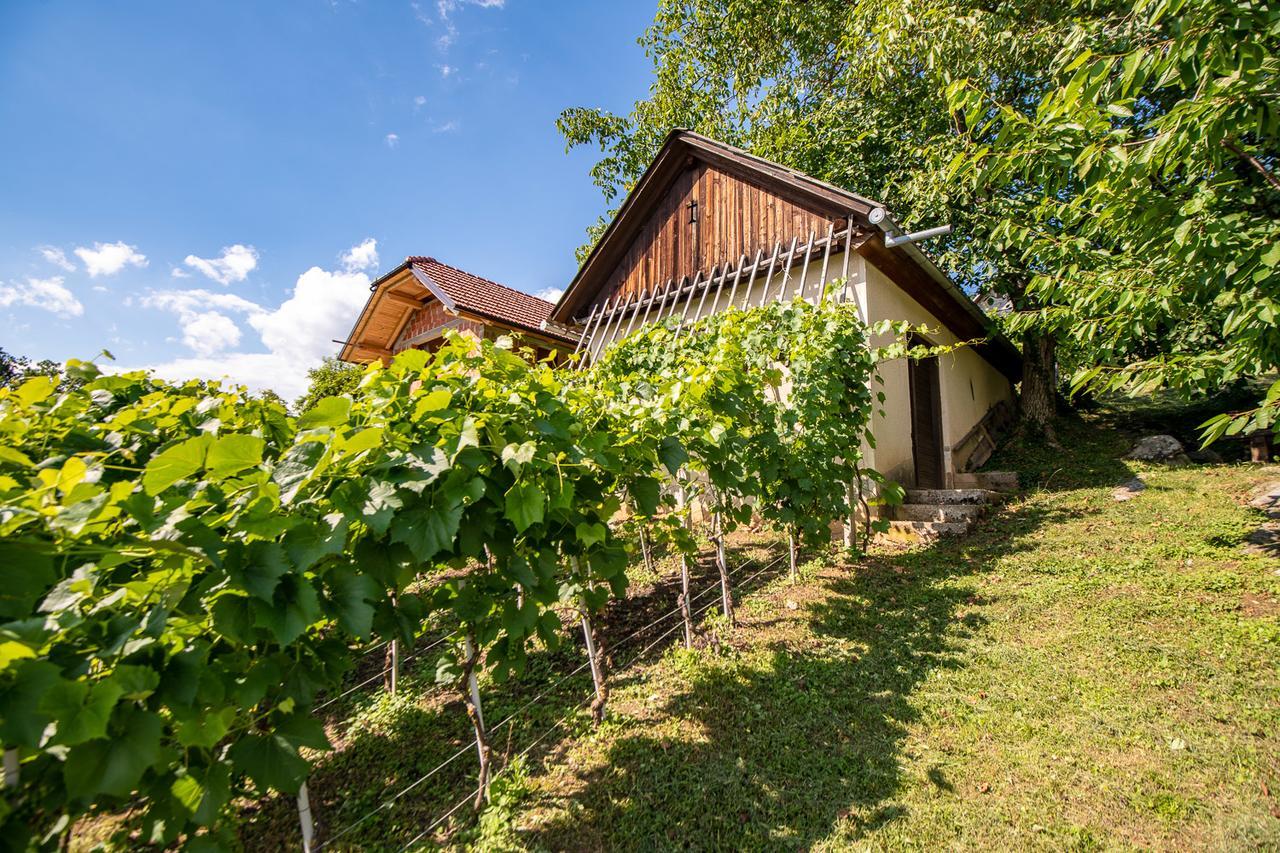 Vineyard Cottage Pod Piramido Dobrnic Экстерьер фото
